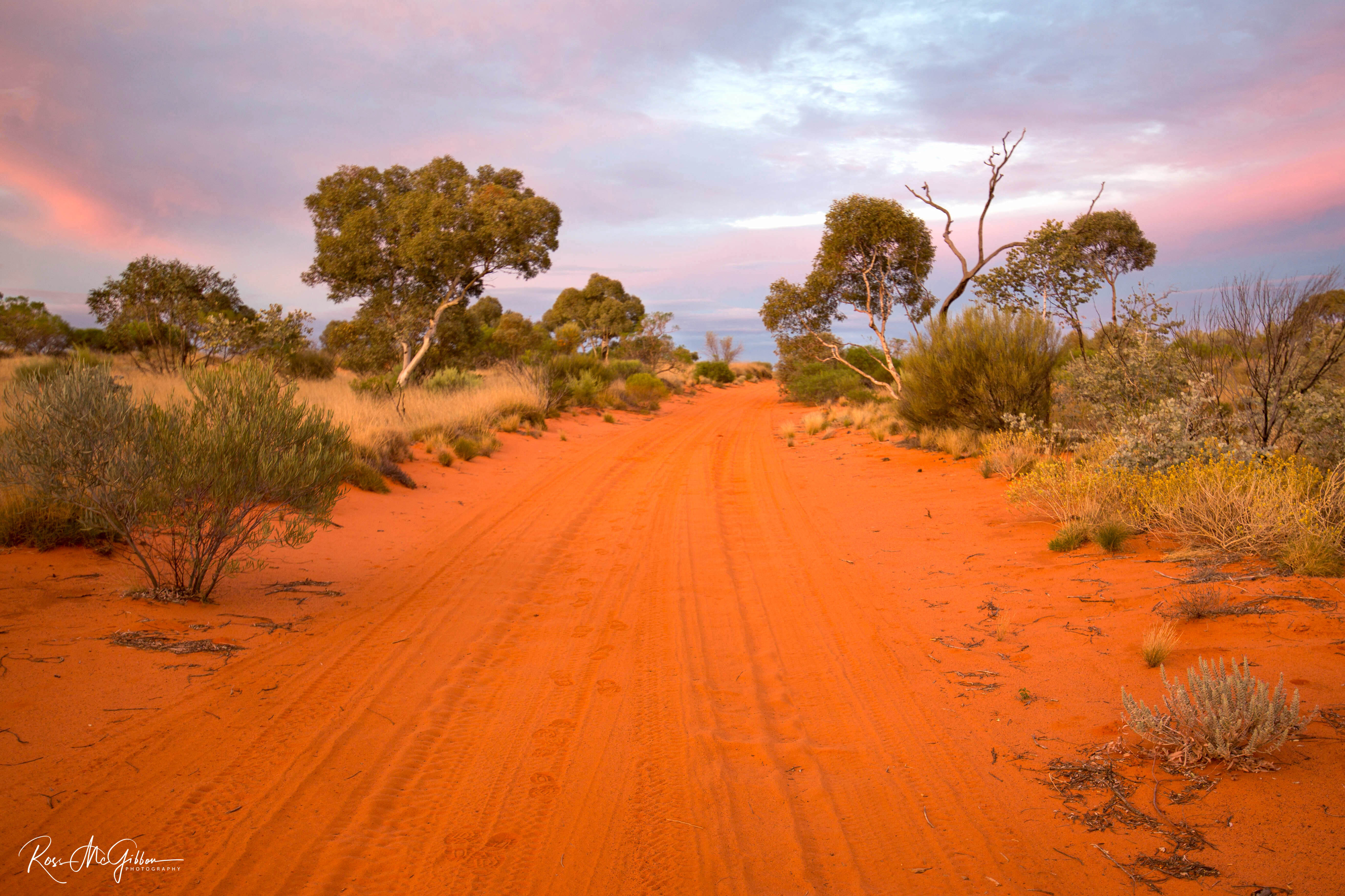 Red dirt track winding through spinifex and desert scrub in the Great Victoria Desert, Western Australia.